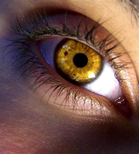 olho amarelo
